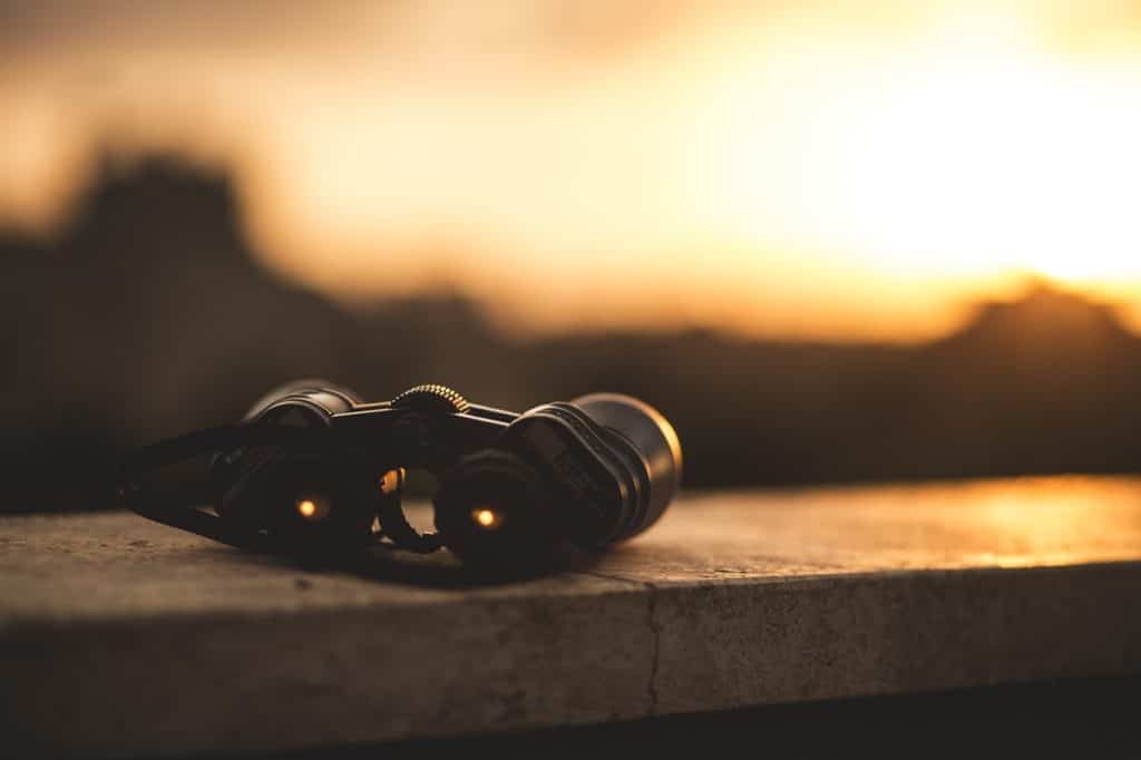 Remettons les jumelles à l'endroit