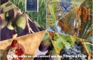 Les Bikourim ne concernent que les 7 fruits d'Israël Zéra Chimchon Ki Tavo