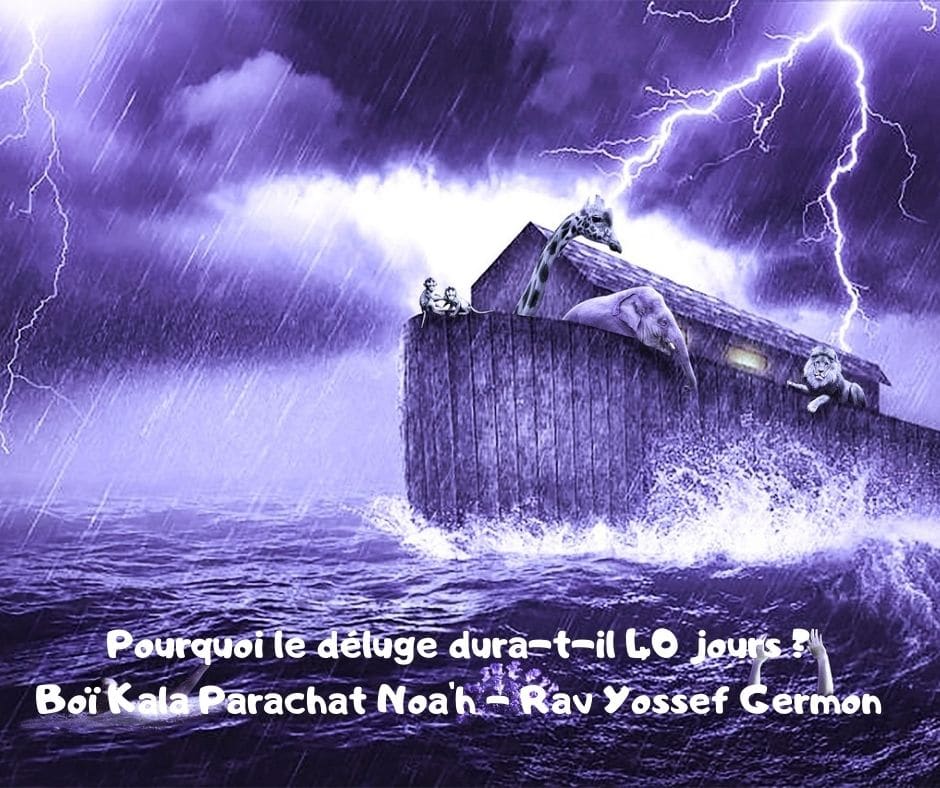 Pourquoi le déluge dura-t-il 40 jours ? Boï Kala Parachat Noa'h