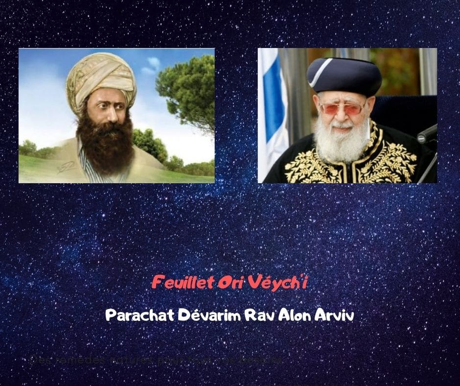 Feuillet Ori Véych'i Parachat Dévarim Rav Alon Arviv