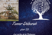 Les vertus de la Puissance - Tomer Déborah ( jour 25 )